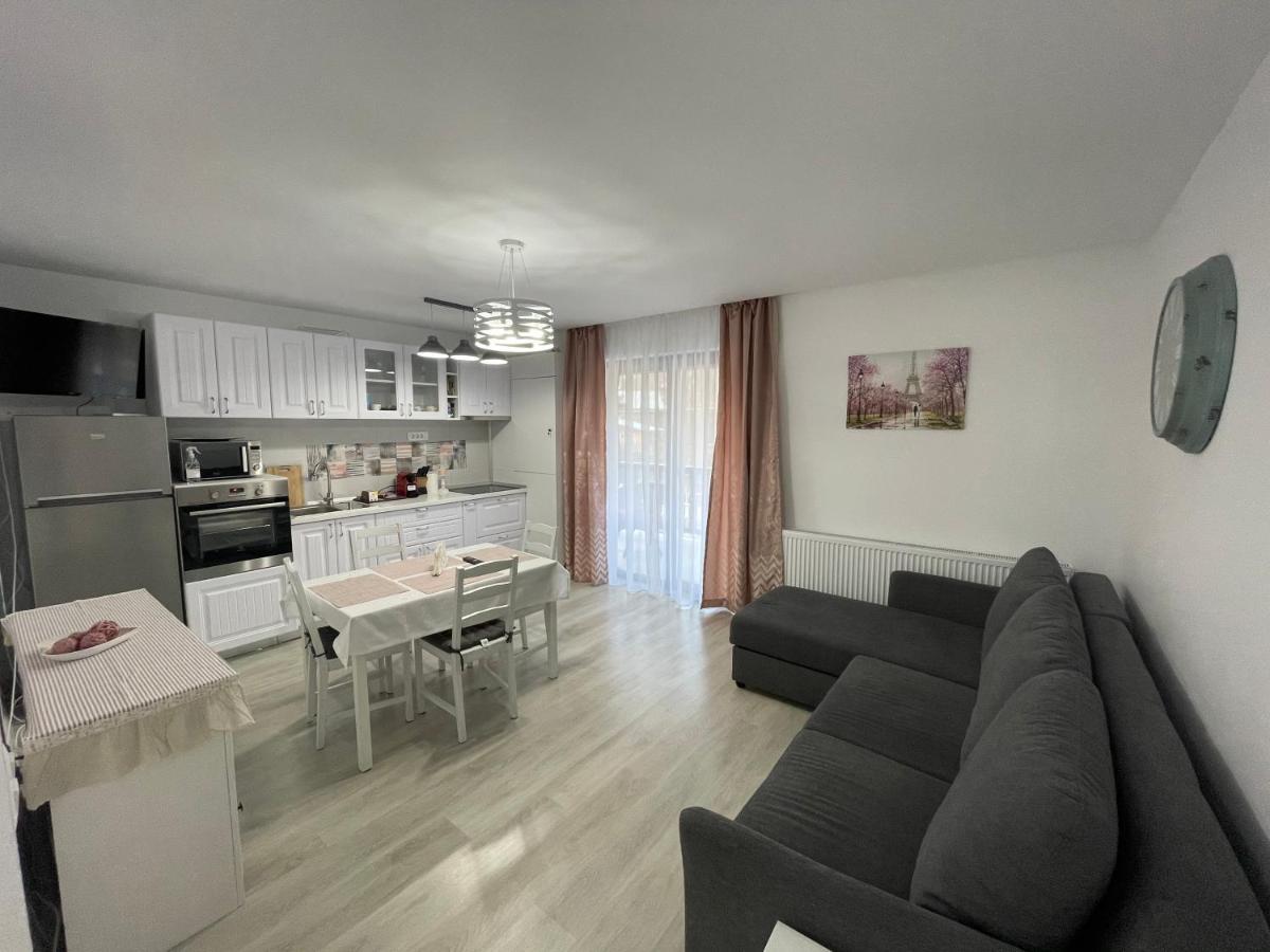 Castle Residence Apt. Eminescu بوستين المظهر الخارجي الصورة