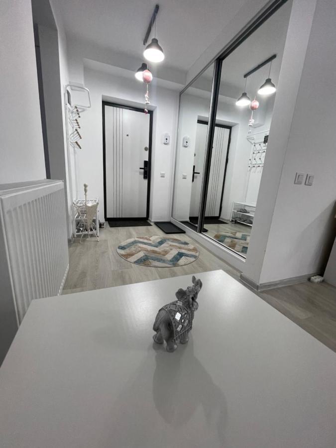 Castle Residence Apt. Eminescu بوستين المظهر الخارجي الصورة