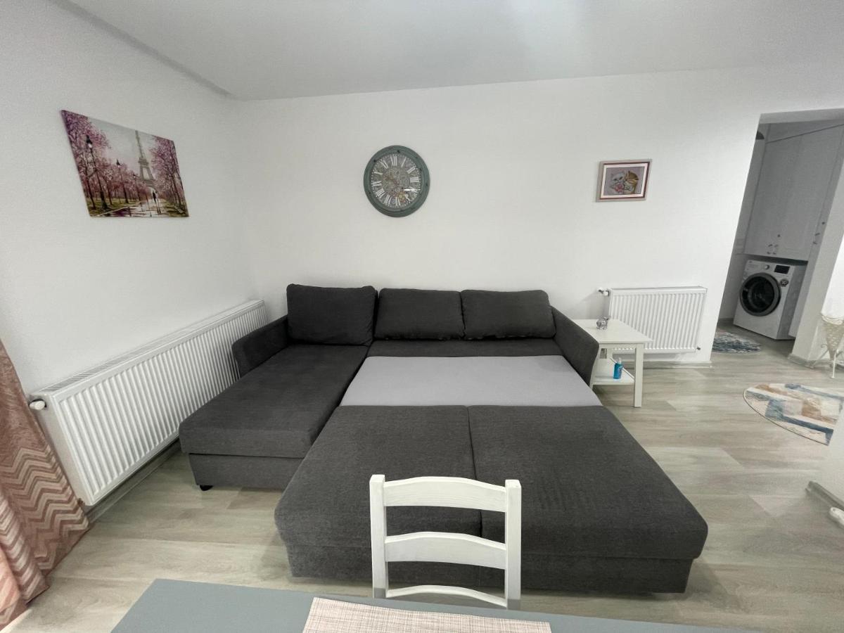 Castle Residence Apt. Eminescu بوستين المظهر الخارجي الصورة