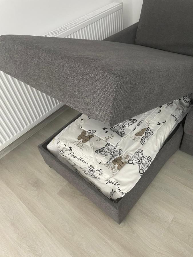Castle Residence Apt. Eminescu بوستين المظهر الخارجي الصورة